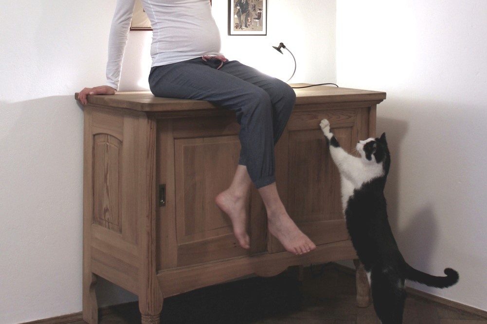 Wohnen auf kleinem Raum? Noch nicht: Eine schwangere Frau sitzt auf einem braunen Buffet, an dem eine Katze hochklettert.