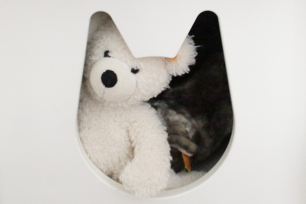 Wohnen auf kleinem Raum? Ein weißer Teddybär schaut aus einem Loch in einem Regalwürfel.